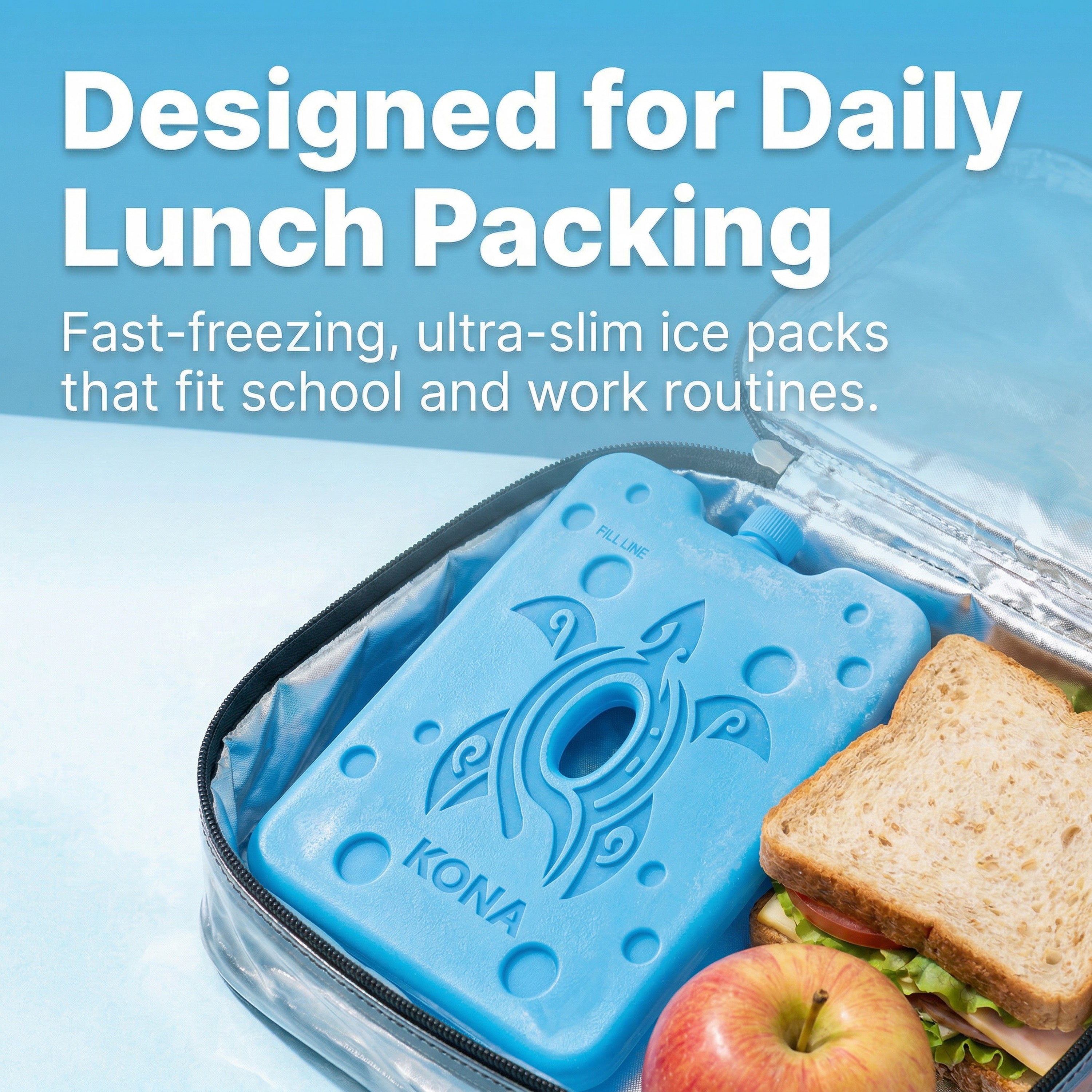 Lunch and Bento Boxes Ice Packs – Cute Turtle Design