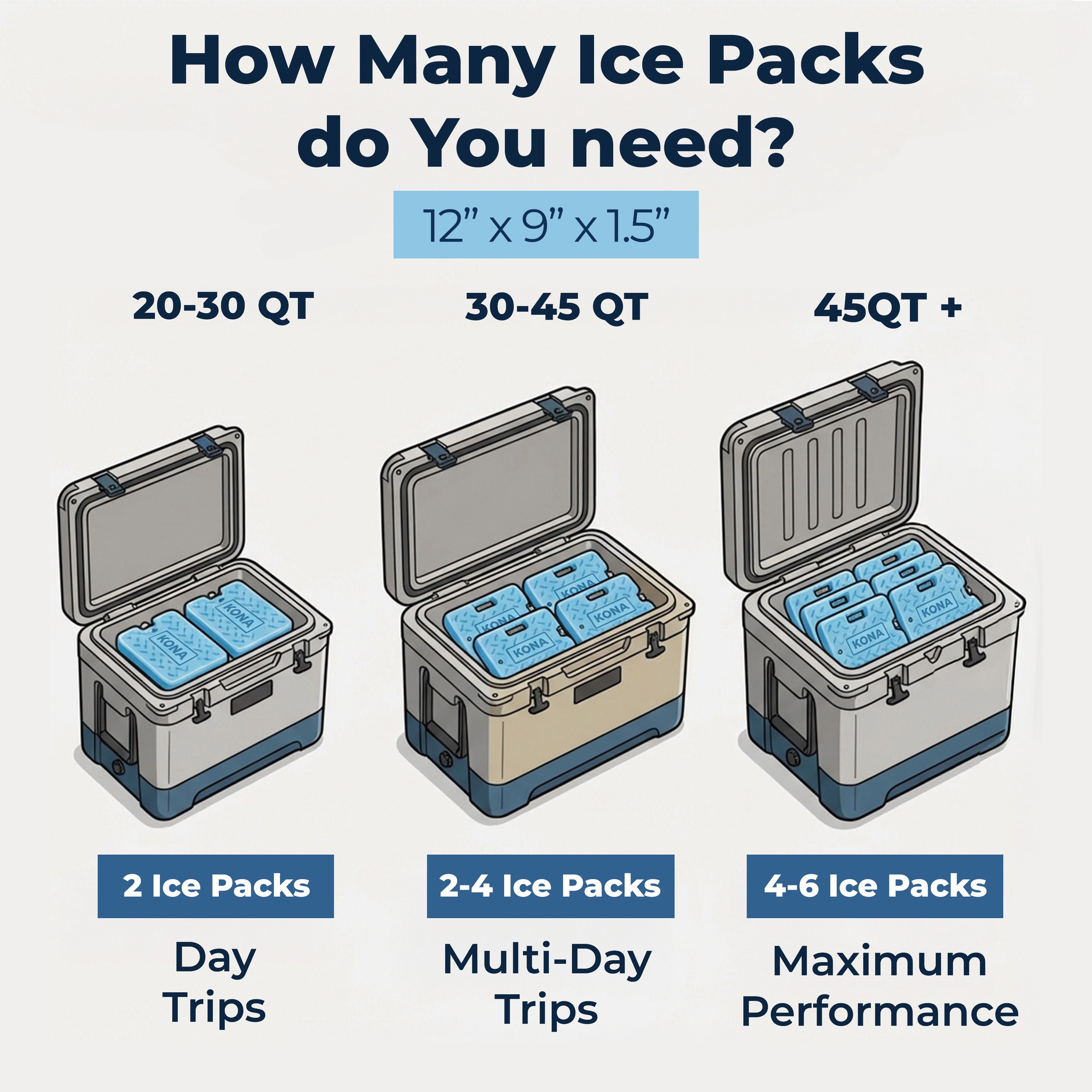 Blue XL Heavy Duty Ice Pack for Coolers - 4 lb.