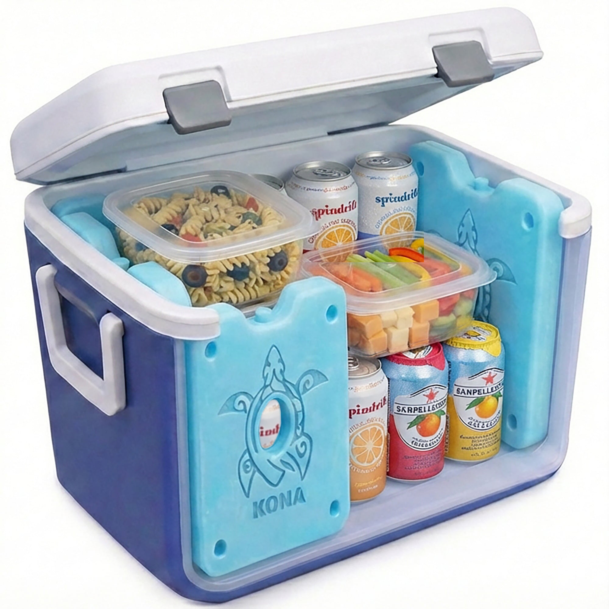 XL Cooler Ice Packs – Unique Turtle Design