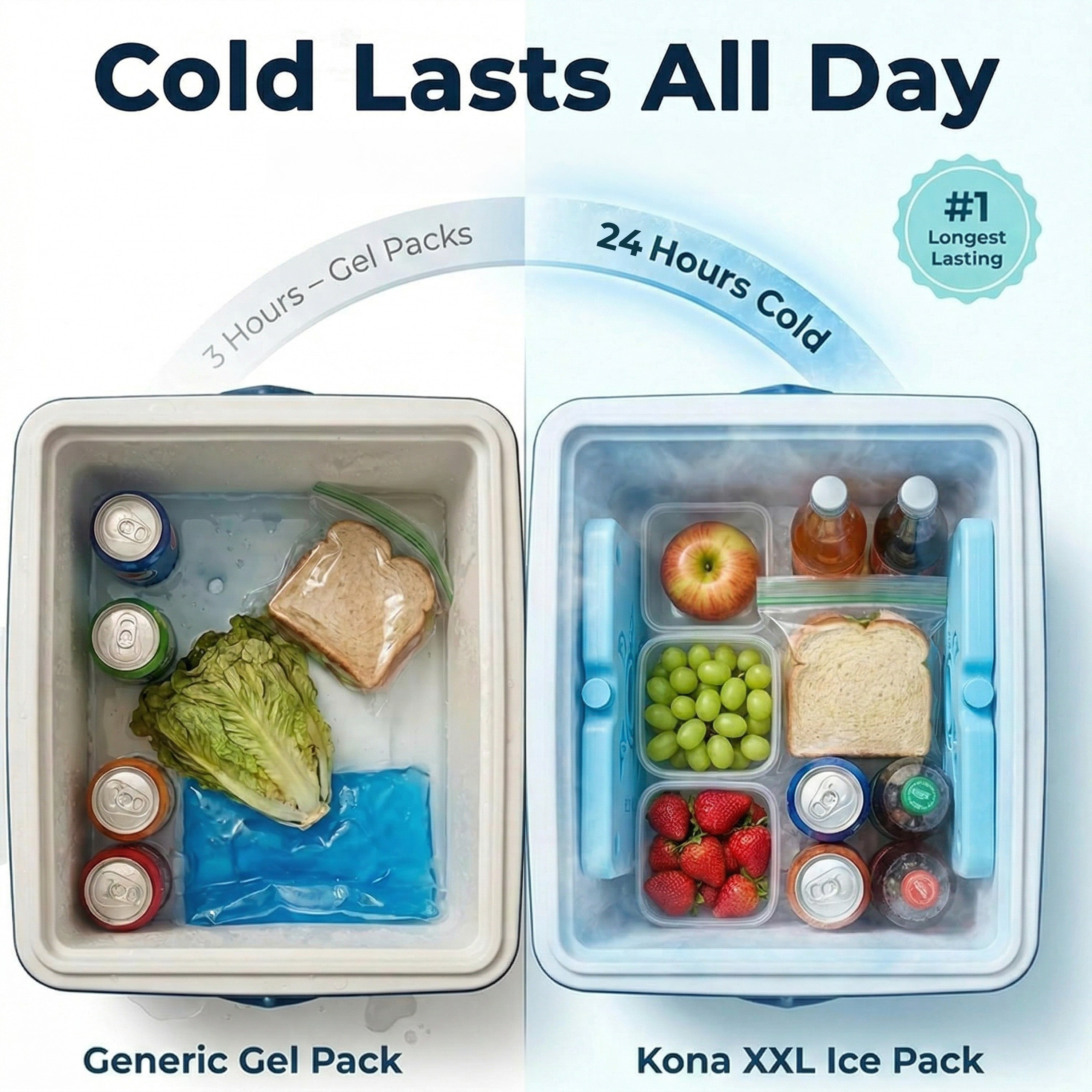 XL Cooler Ice Packs – Unique Turtle Design