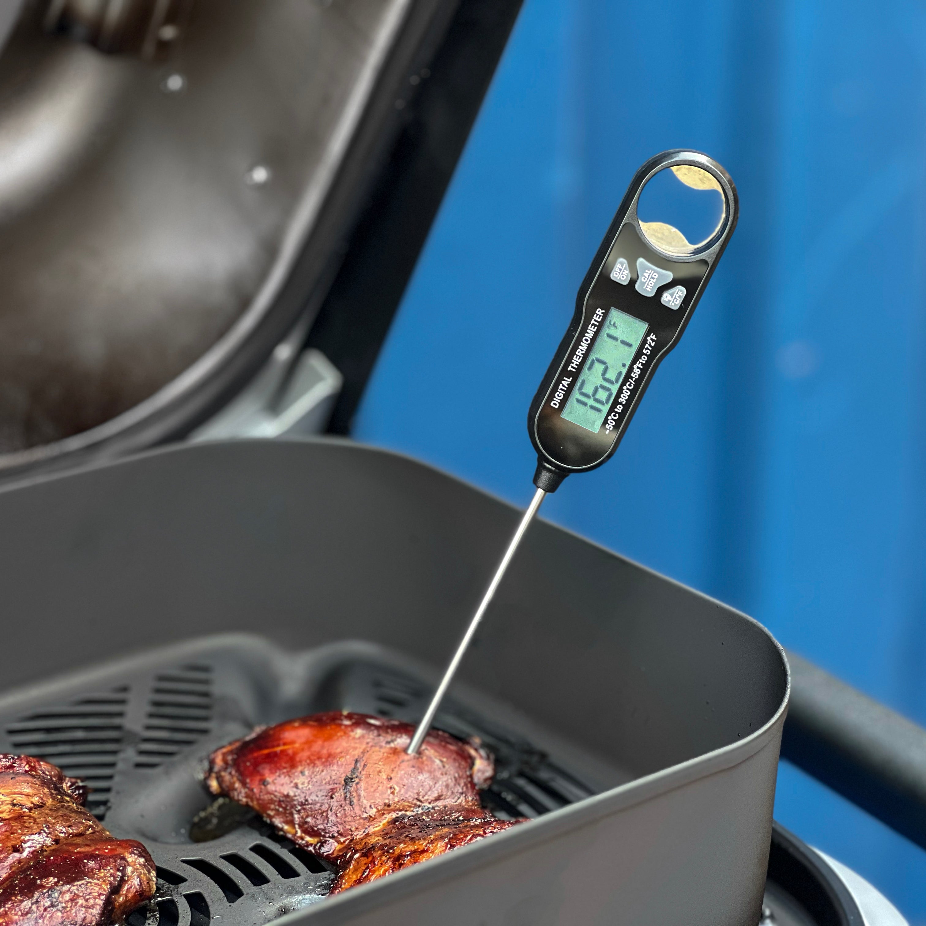 Digital Meat and Candy Thermometer