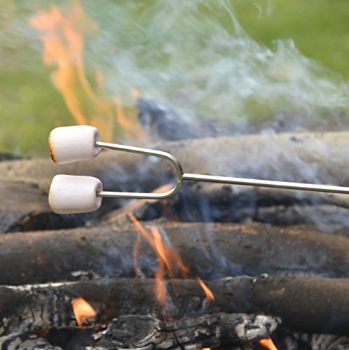 Telescoping Roasting Sticks - 4 Pack Set with Deluxe Case