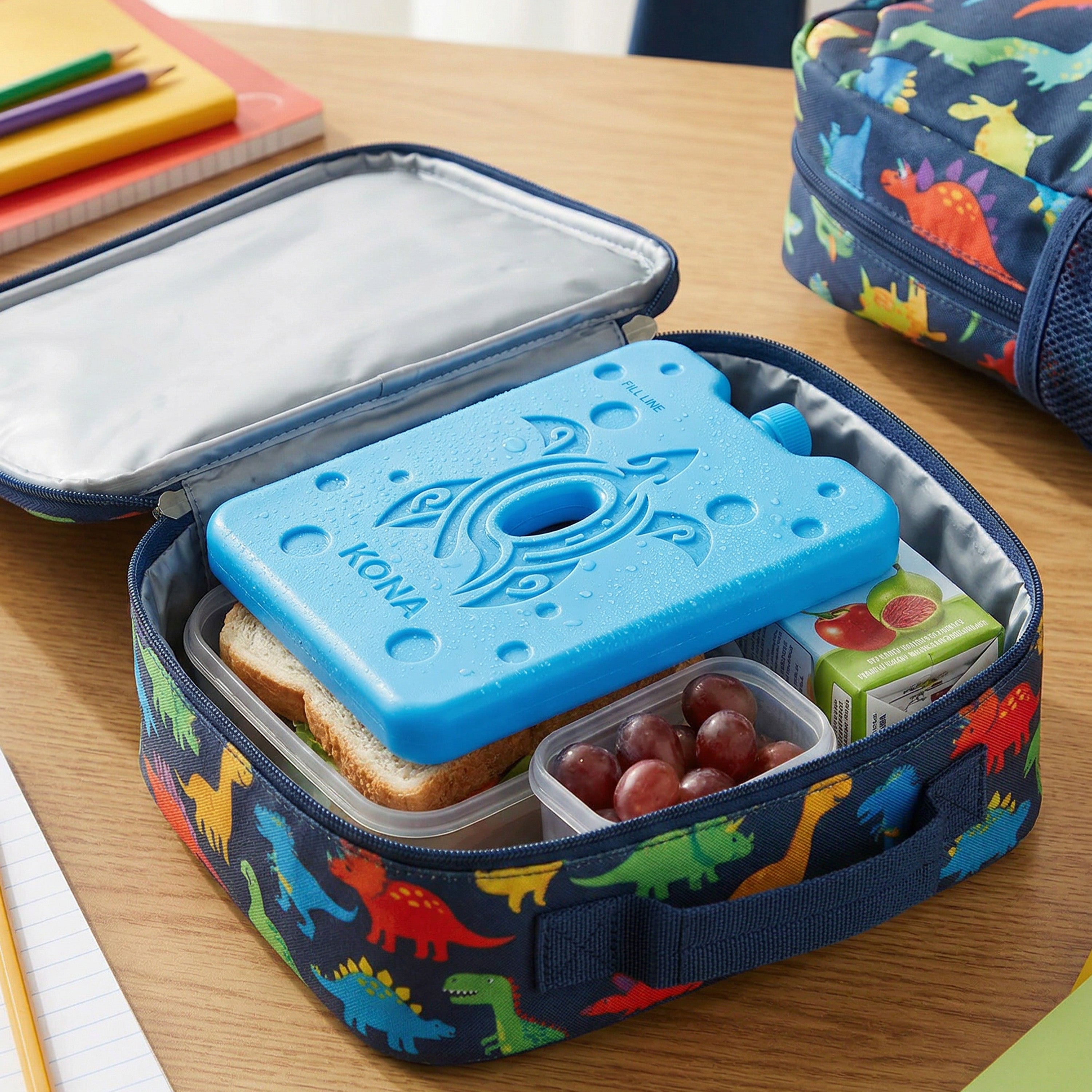 Lunch and Bento Boxes Ice Packs – Cute Turtle Design