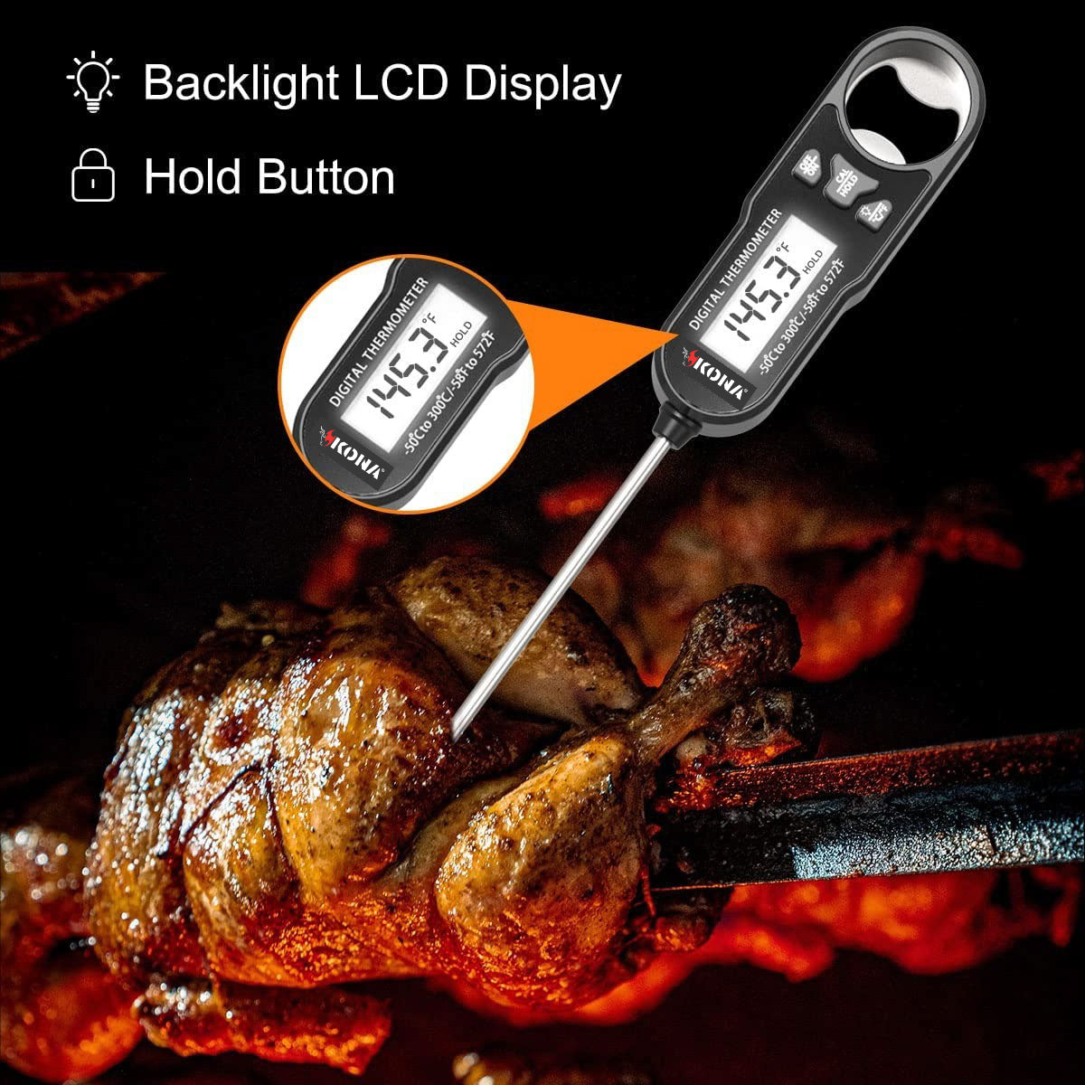 Digital Meat and Candy Thermometer