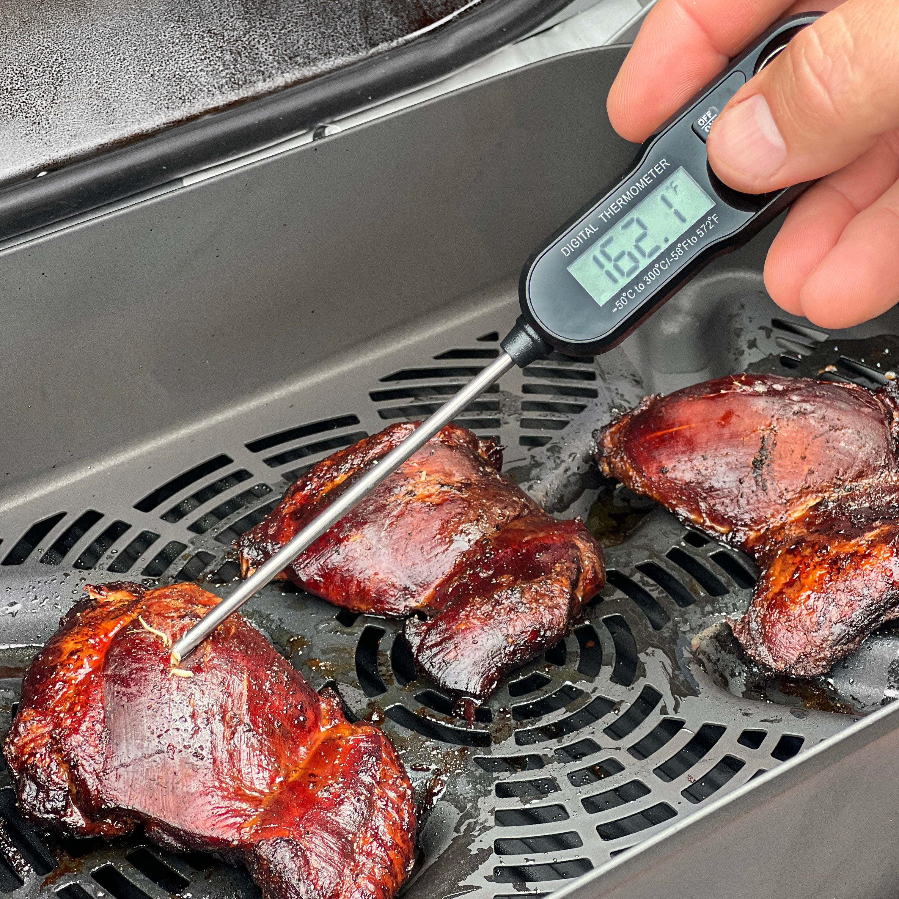 Digital Meat and Candy Thermometer